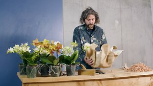 Weekend inspiration with orchids.... Creating a centerpiece is always nice using Orchids, easy and long lasting.... Here a simple and very effetive way to create a stunning design.... Inspire yourself and others..... | We all are the FlowerFactor.