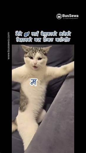 मैले GF लाई बिहानको भनेको, बेलुकाको बस टिकट काटेपछ..... #bussewa #fyp #travel #smarttravel #funny