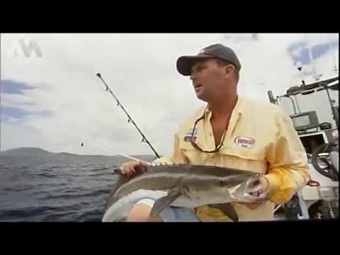 how to use outriggers for live baiting