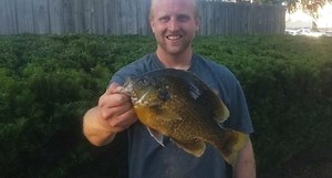 Michigan Angler Breaks 30-Year Old Hybrid Sunfish Record
