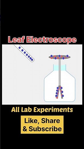 Leaf Electroscope | Explanation & Animation #shorts #physics
