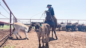 1K views · 36 reactions | Get ready for an exciting lineup of...