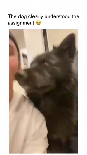 Cute Dogs on TikTok
