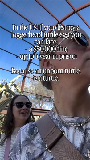 Christian Motivation/Inspiration 🔥 on Instagram: "Abortion is murder 💯→ Comment “BIBLE” to get my Beginner Bible Reading Plan sent straight to your DMs! 🙌📖 💬 Comment “JESUS” for my new 7-Day Walk With Jesus Devotional Challenge ✝️ 💬 Comment “FEARLESS” for a free 5-day devotional to overcome fear and step into faith! 🔥 ✝️ Follow @divine_inspiration._ for daily faith-filled content! #christianinspiration #faith #christian"