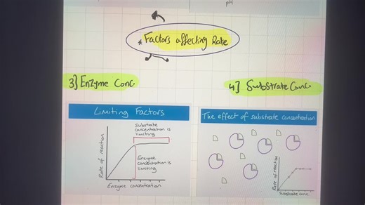 ‏Rate limiting factor #igcse