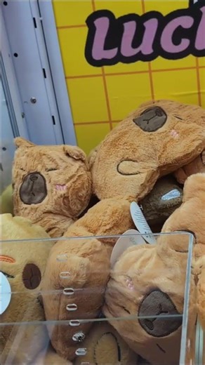 Winning A Teddy At The Lucky Claw Aracdes #arcade