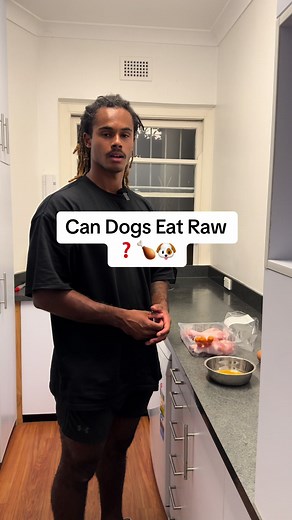 Nutriendo a tu perro con comida cruda: ¿Es lo correcto?