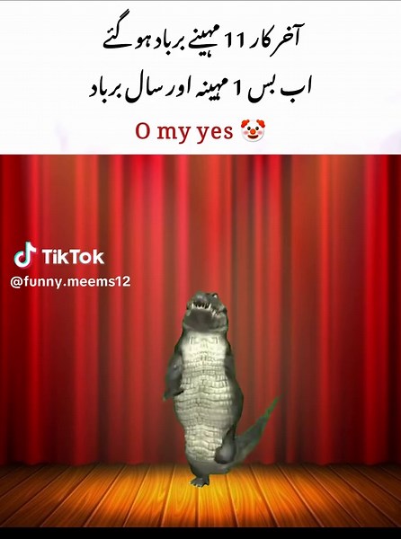 O my yes 😎 . . #foryou #funny #meems #relatable #dogeshmeems