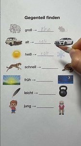 Learn German #germany #learngerman #studygerman