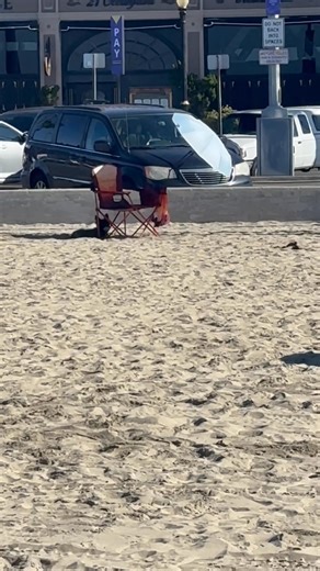 OK, so he did something he never does. He took off running. He got scared of the ocean. He’s very smart. He went right back to our chair & umbrella. So does he get a break or does he get a spanking? For not listening to Papa. 😂😂😂🐶🐶🐶🏖️🏖️🏖️ | JoJo Contursi