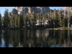 Music and Sounds from Nature : Enjoy and Relax!