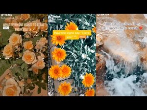 Zodiac Signs TikTok Compilation #3