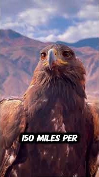 Top 10 Fastest Flying Animals on Earth 🦅 | Speed That Will Shock You!