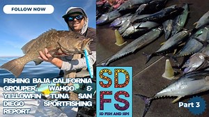 Fishing Baja California: Grouper, Wahoo & Yellowfin Tuna | San Diego Sportfishing Report Part 3