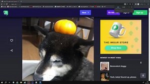 おならスイッチ | OPENREC.tv (オープンレック)
