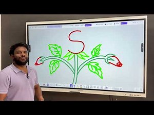 Easy Rose Drawing for Beginners | How to draw a rose step by step for beginners