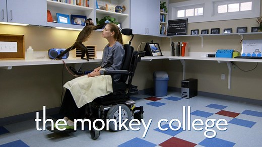 The Monkey College