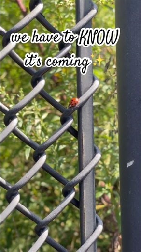 do you KNOW you deserve everything you desire ✨