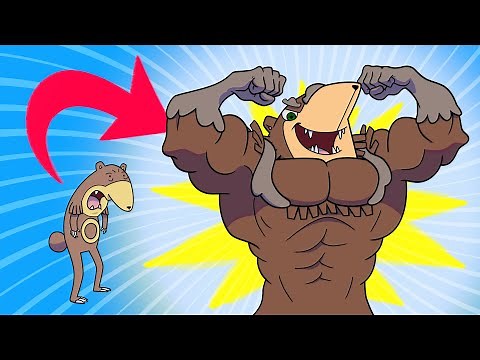 6 Pokémon SALVADOS por una EVOLUCIÓN