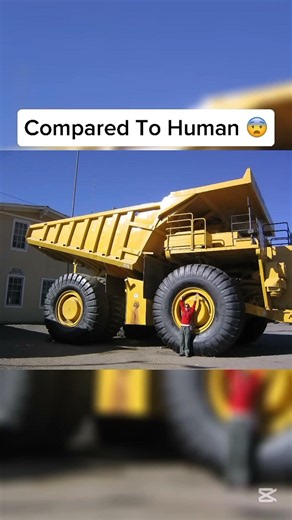 things that are bigger than you thin part 1 #interestingfacts