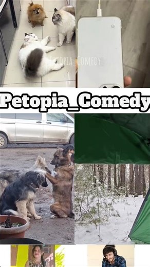 Animals Talking Like Humans 😍Pt-192 | Funny Animal Voice Over #cowsho #funnyanimals #animalcomedy