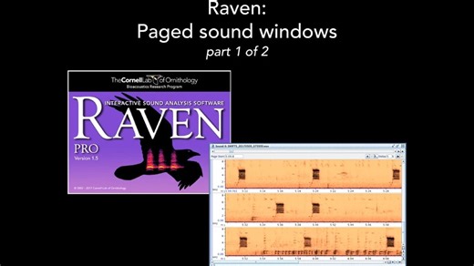 声学分析软件Raven Pro入门-Part 6 Paged Windows 1 (English)
