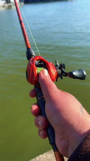 Easy Outdoor Fish Recipe for Fresh Catches