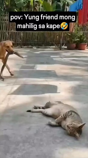 19K views · 122 reactions | Astang kurata sa ering 藍 | Racquel Cortes | Facebook