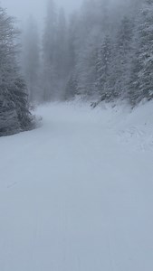 Așa arată o zi de schi în Poiana Brașov! #skiing #snowboarding #skiresort #romania #fyp | Visit Brasov Romania