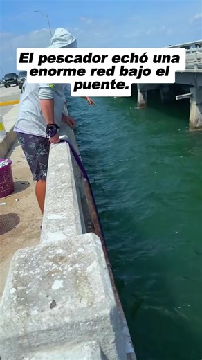 Fishing Challenge Under the Bridge