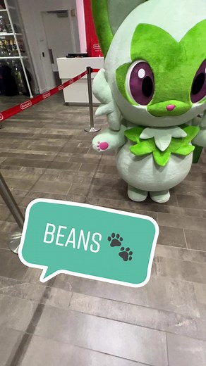 i touched sprigatito’s toe beans 🐾 | #pokemon #pokemonscarletviolet #sprigatito #gaming #cat #nintendo