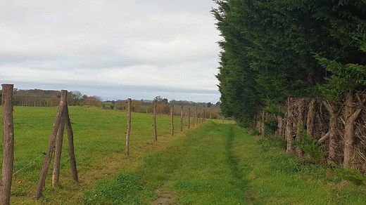 Quelle est la différence entre chemin rural et voie communale ? On vous répond