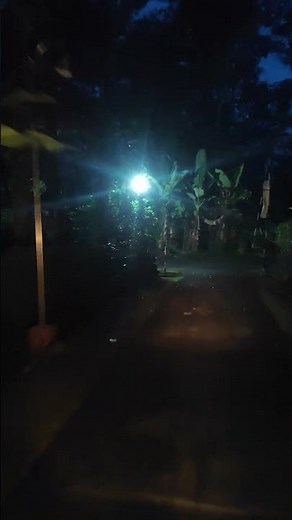 whta the hell #sirenhead #horror #minecraft