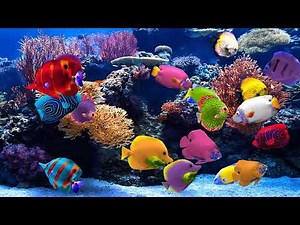 Discover Sensory Space Categories - Interactive Learning for Special Needs