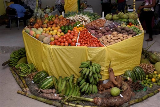 Agriculture show uncertainty - Jamaica Observer