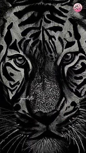 Hyper Realistic Tiger Face Sketch 😳🔥#YooArtistic