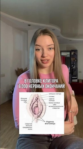 Новые данные о КЛИТОРЕ🤯 | Клитор анатомия #сексолог #клитор #здоровье #просекс