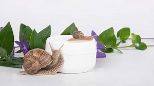 Korean Skincare Secret: What Is Snail Mucin And How Does It Benefit Your Skin