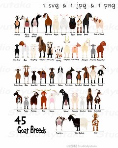 45 Breeds of Goat Digital Chart, Svg, Jpg, Png, 16*20" - Etsy