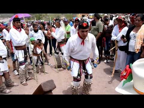 TRADICIONES DEL NORTE DE SINALOA DANZA DEL PASCOLA