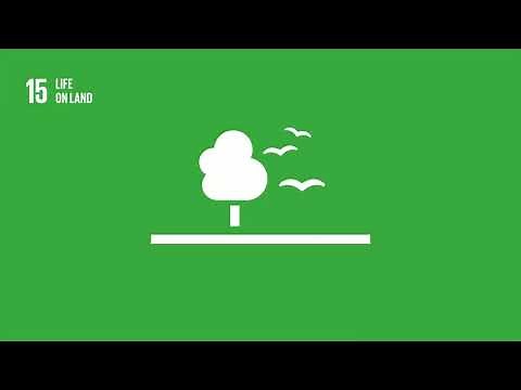 SDGs Animation