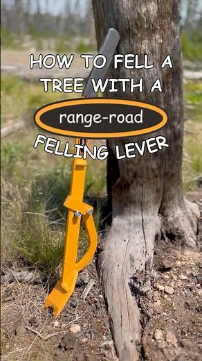 How to Fell a Tree with a Felling Lever #rangeroad #treefelling #treecutting #felling #logging #mtn