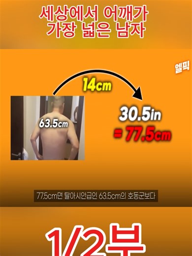 세상에서 어깨가 가장 넓은 남자들