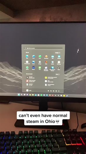 fr i just turned on my pc steam needed an update and it turned to this☠️