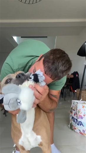 Chien mignon on Reels