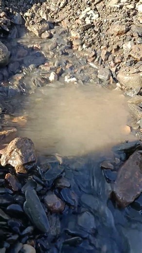 Earth’s Pulse 🌍💧 #nature #shorts #RawNature #EarthPulse