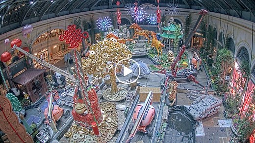 Bellagio Conservatory Cam