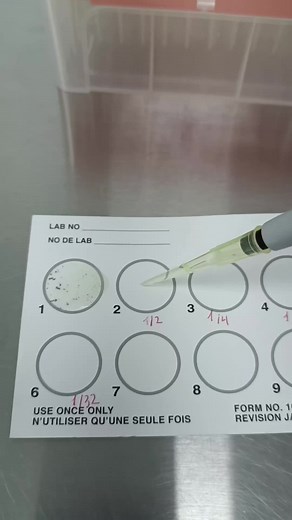 Cuentas recomendadas