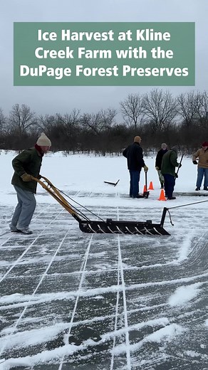33K views · 383 reactions | Step back in time at Kline Creek Farm for a magical 1890s ice harvest reenactment! 流✨ Just like a scene from ‘Frozen’, but this is the real, frosty deal. Witness the traditional methods that kept people cool before refrigerators were a thing. #history #historical #historicalfacts #livinghistory #reenactment #frozen | Forest Preserve District of DuPage County | Facebook
