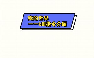 《我的世界》kill指令介绍